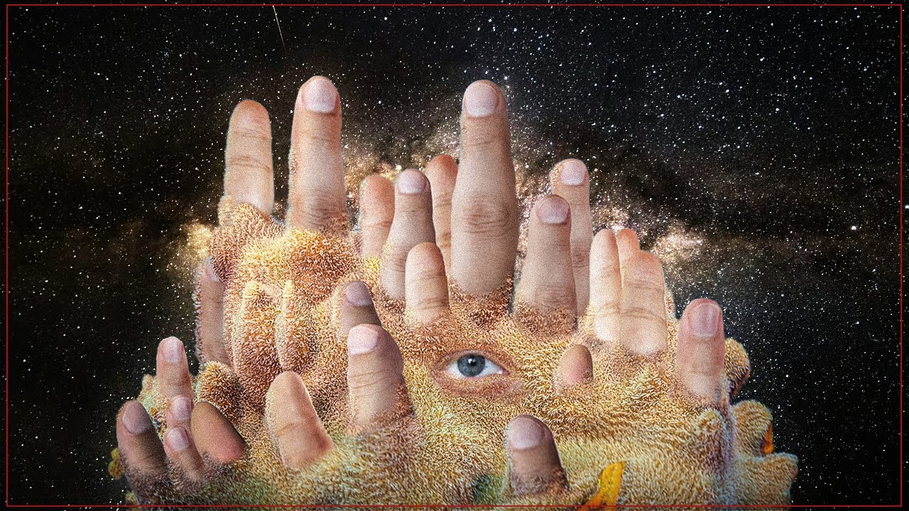 El SUBLIME horror del CAOS