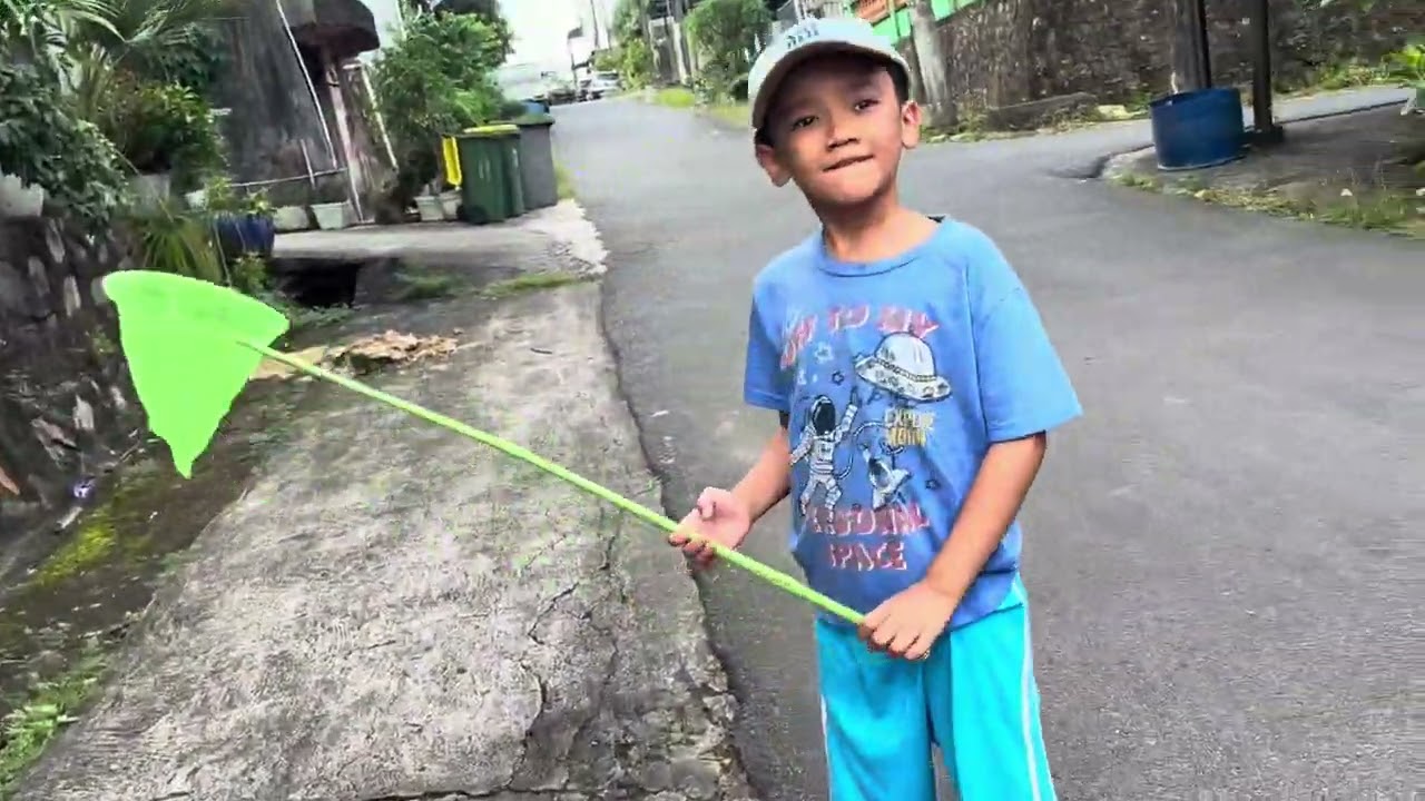 Kenn cari kupu kupu