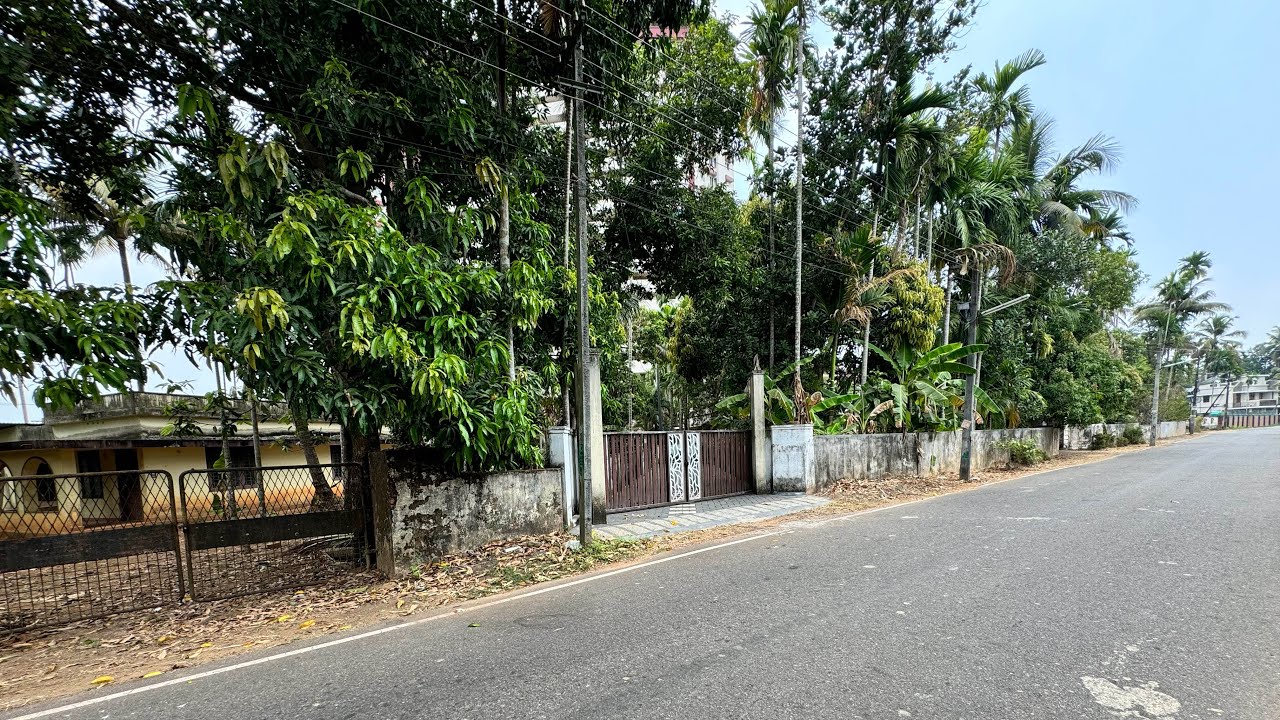 15 Cent Bus Route Frontage Land for Sale in Ernakulam | Very Urgent Sale