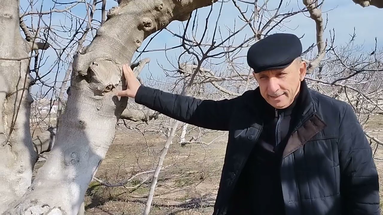 Maştağa kəndi: Nazim Cəfərov - 