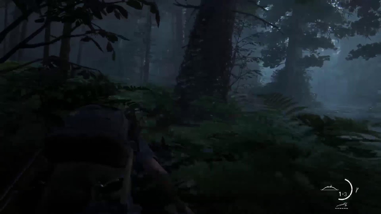 The Last of Us part 2 remastetered