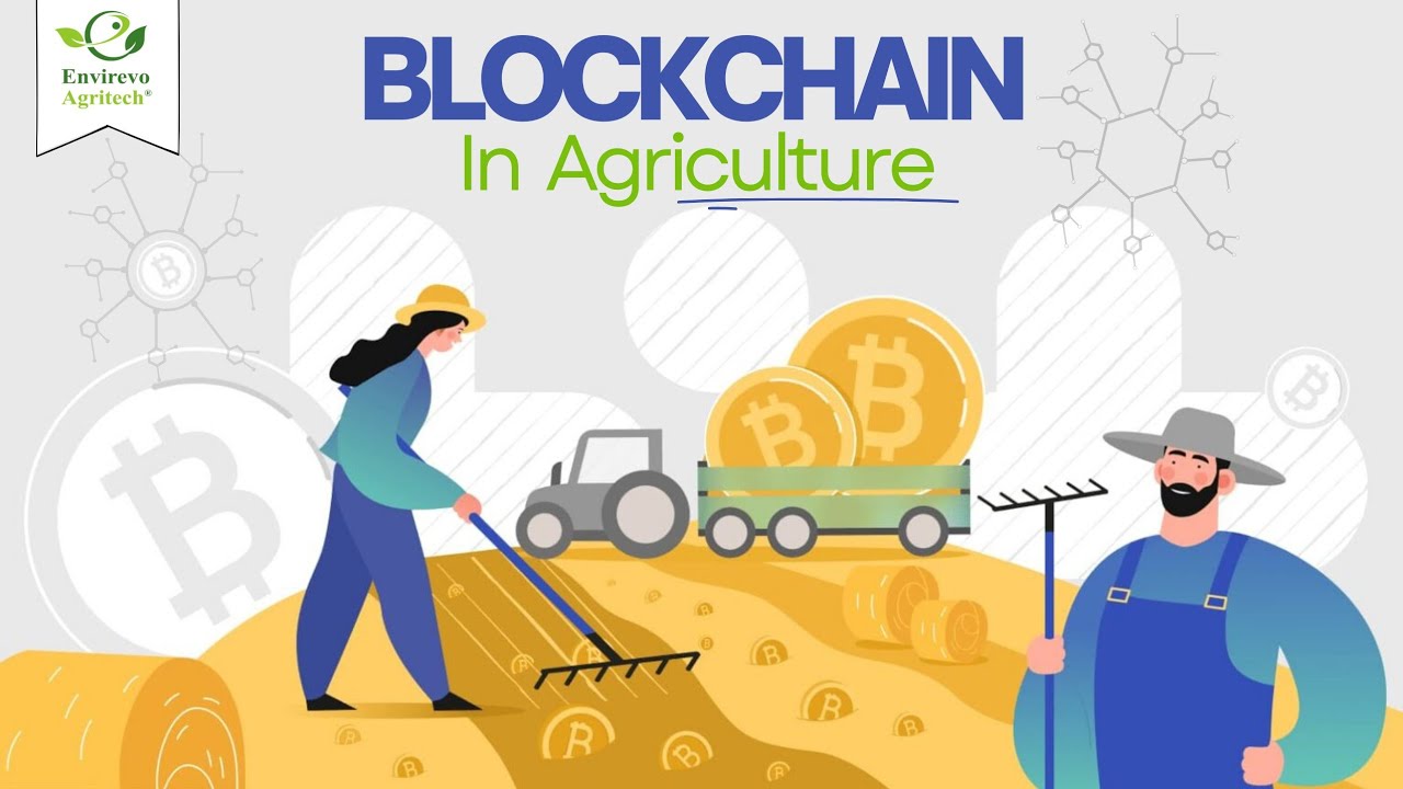 Blockchain in Agriculture | The future of food supply chain