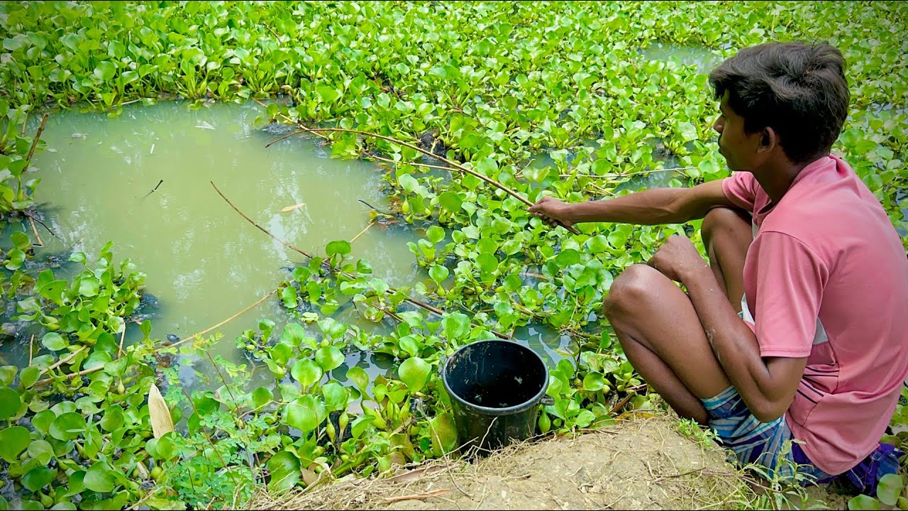 Fishing Video 🎣🐟 Fishing with Hook | Catching Catfish by Unique Fishing in Village Beautiful Nature