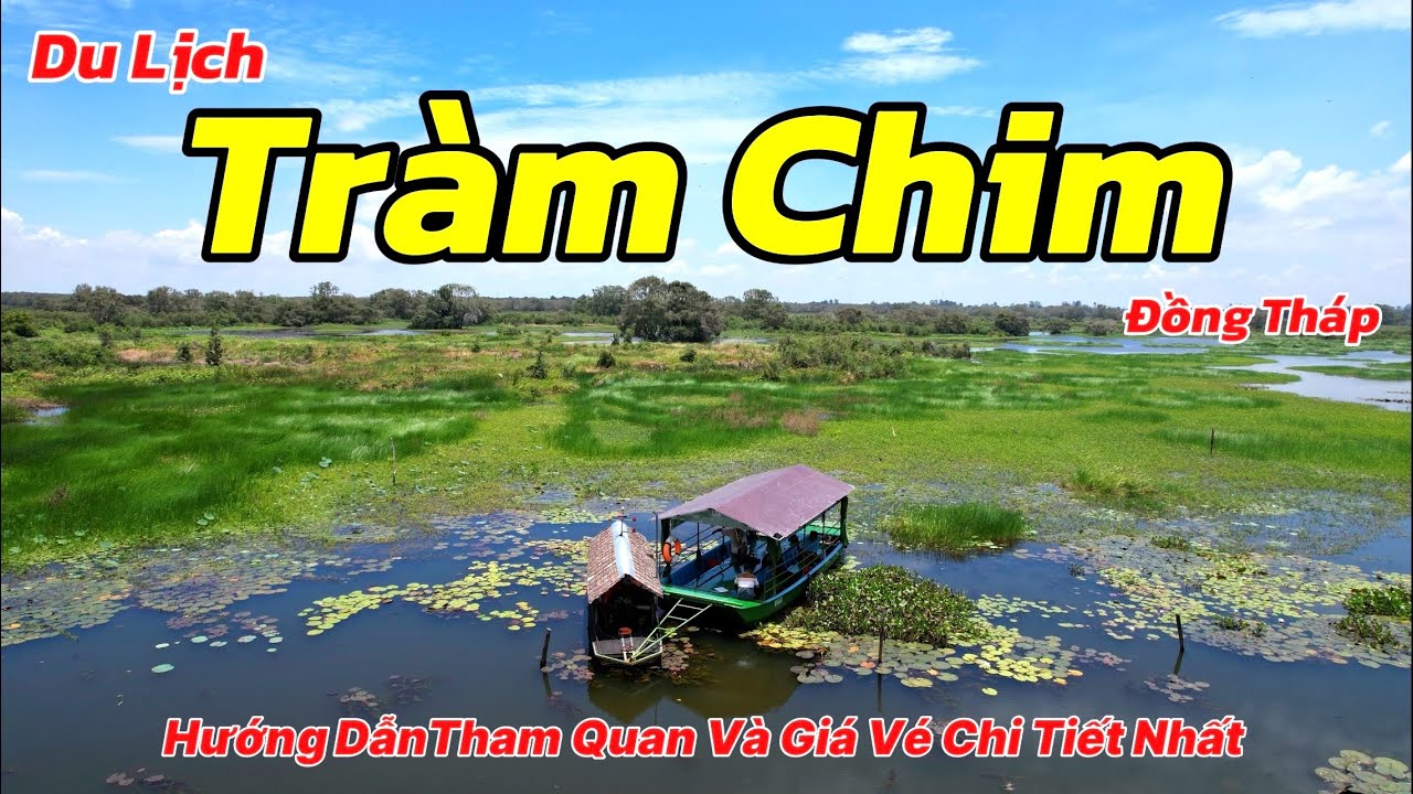 Du Lịch Tràm Chim Đồng Tháp 2024 | Hướng Dẫn Tham Quan Và Giá Vé Đi Thuyền Tràm Chim Mới Nhất