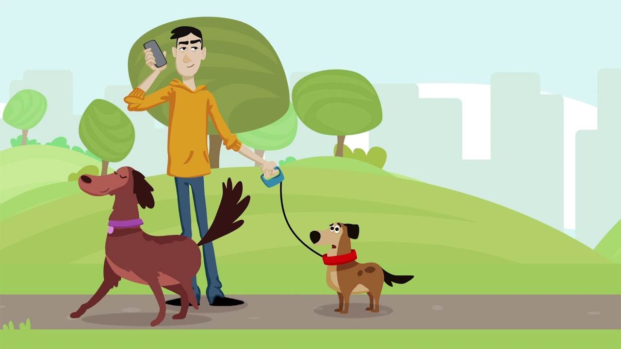 Shorter Dog Walks with Customer Service Automation