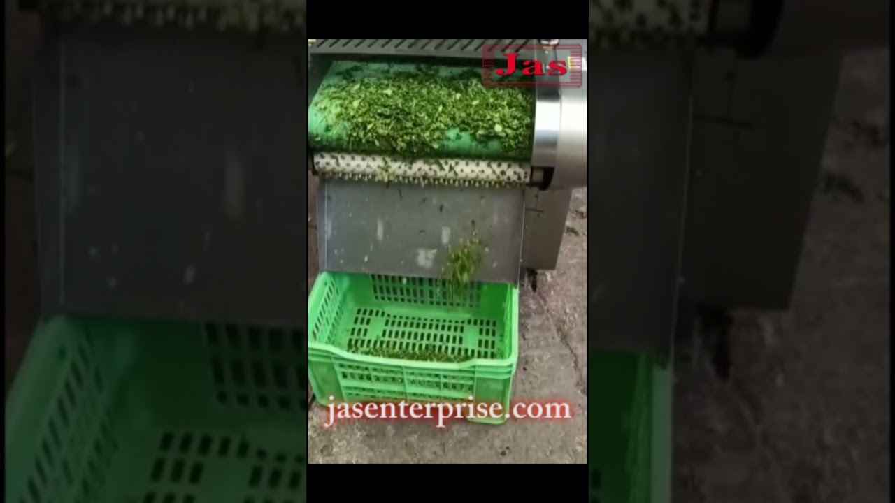 Leafy Vegetable Cutting Machine | +91-9426088680 | jasenterprise.com
