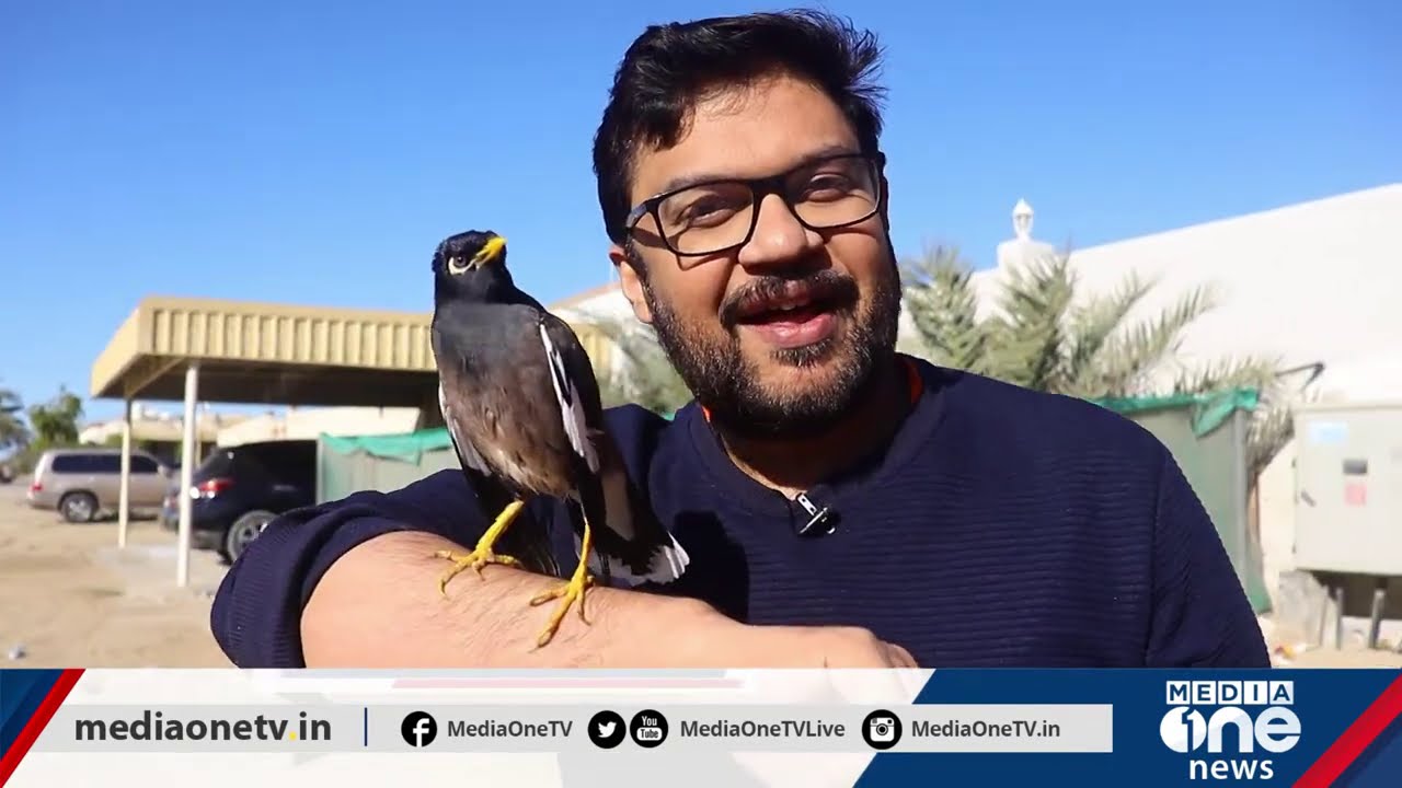 ഉമ്മുല്‍ഖുവൈനിലെ സംസാരപ്രിയന്‍ മൈന | Weekend Arabia | Talking Mynah