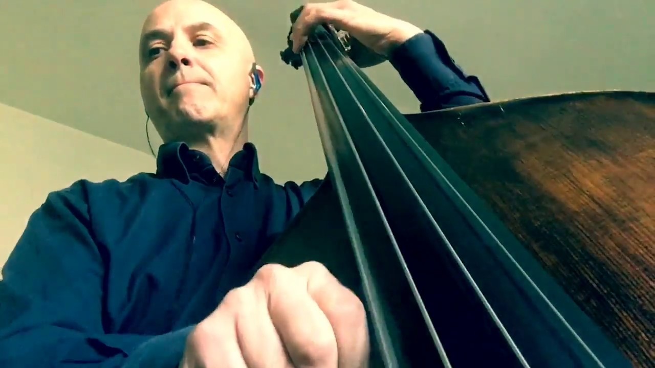 Dolphin Dance Bass Line Play Along Backing Track