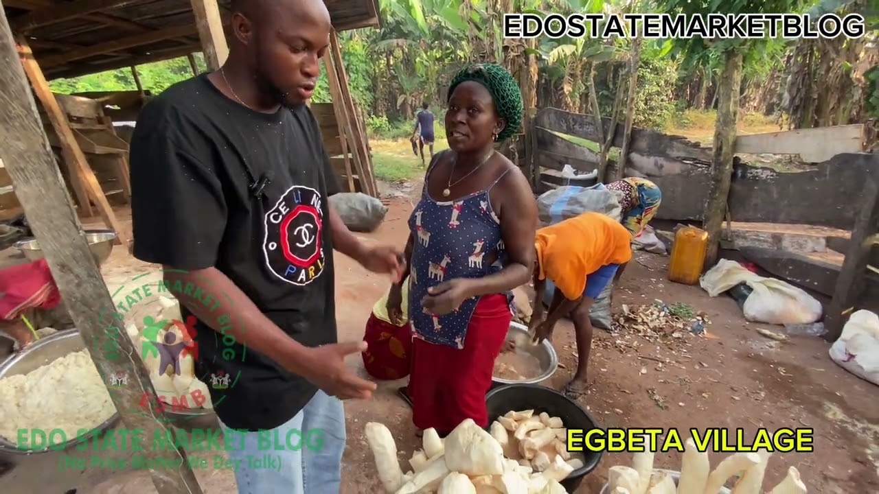 A VISIT TO EGBETA VILLAGE (GARRI PROCESSING GROUND) WATCH EVERY PROCESS OF MAKING GARRI