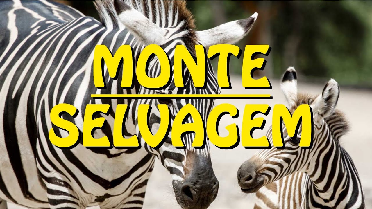 Monte Selvagem Animal Reserve - Portugal HD