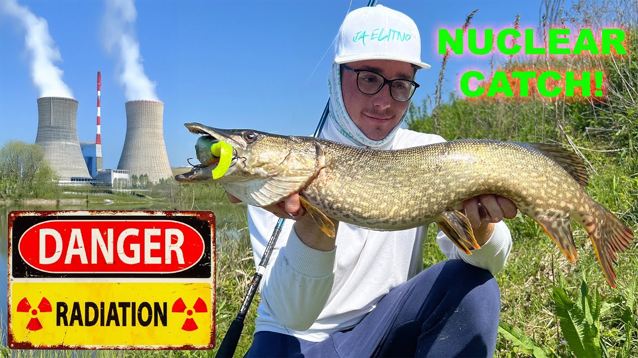Ujeli Smo RADIOAKTIVNO ŠČUKO - Caught Near the Reactor