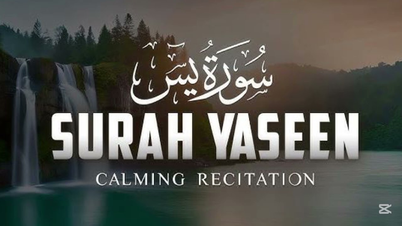 Surah Yaseen Repeated 7 Times for Deep Sleep, Peace & Protection | Mishary Rashid Alafasy #mishary 