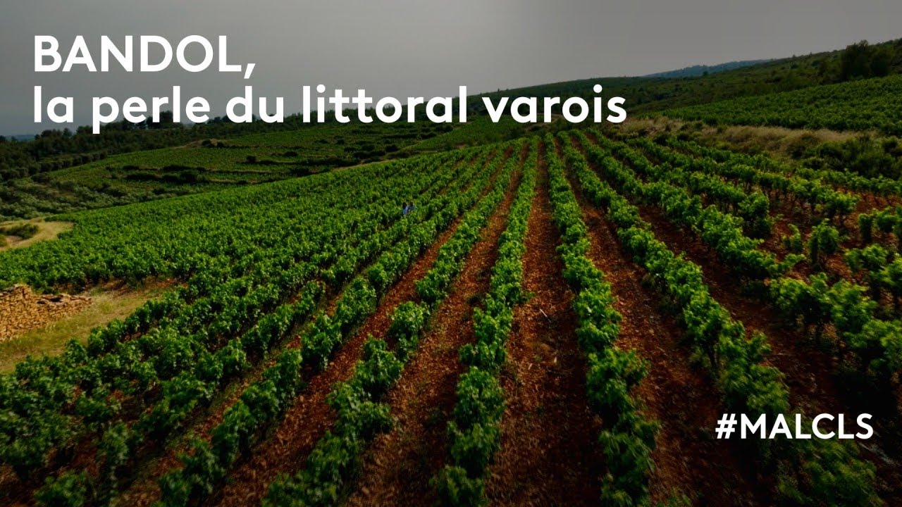 Bandol, la perle du littoral varois