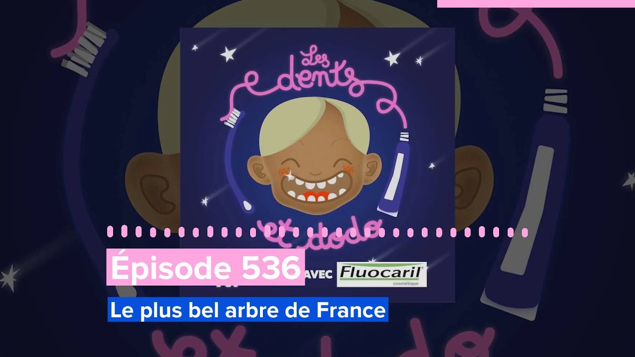 &Eacute;pisode 536 : Le plus bel arbre de France