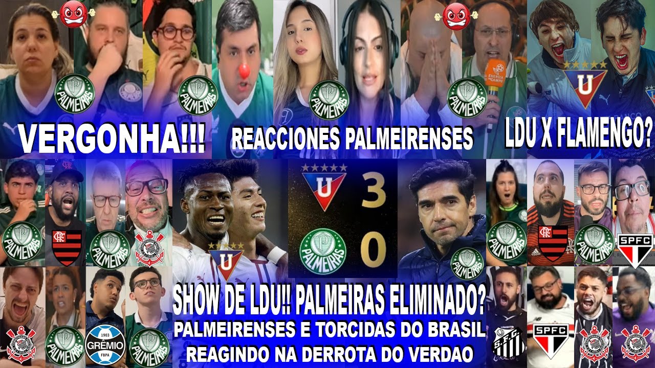 PALMEIRENSES E TORCIDAS DO BRASIL AO LDU 3X0 PALMEIRAS - REACCIONES BRASILEÑAS - VERDAO ELIMINADO?