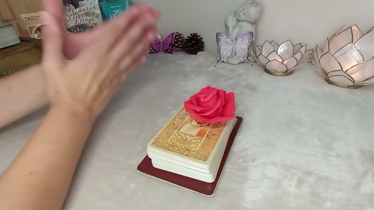 🦋¿Me va a BUSCAR? ¿Con qué intenciones?🦋 Tarot interactivo