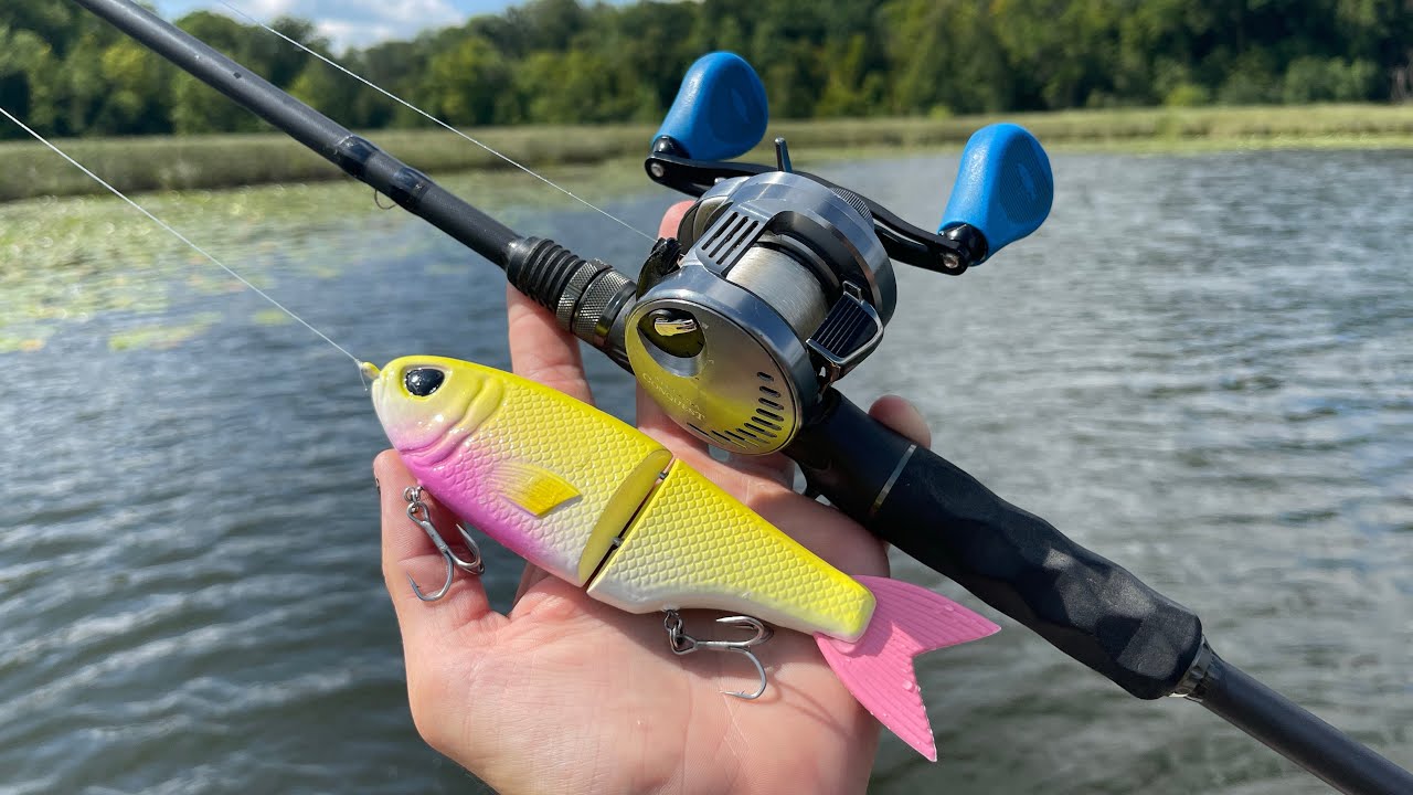 This Is The BEST State For Catching Fish!