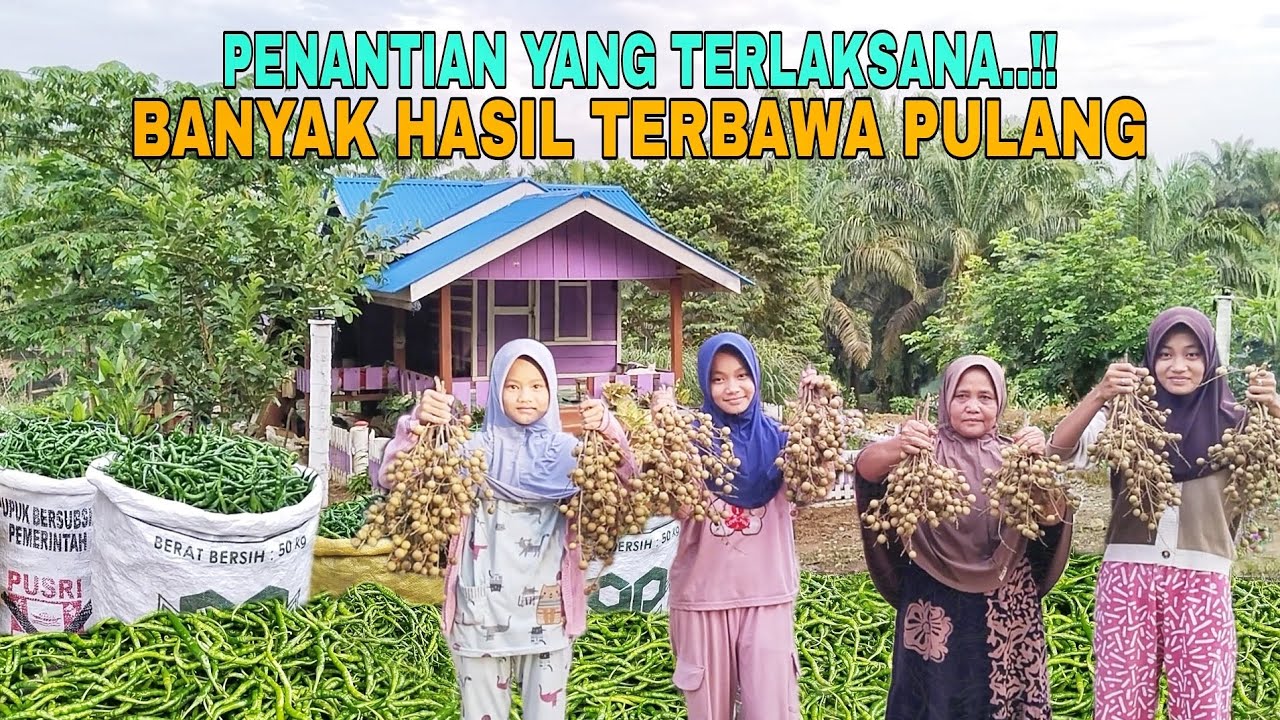 PENANTIAN YANG TERLAKSANA..!! PANEN BESAR BANYAK HASIL TERBAWA PULANG