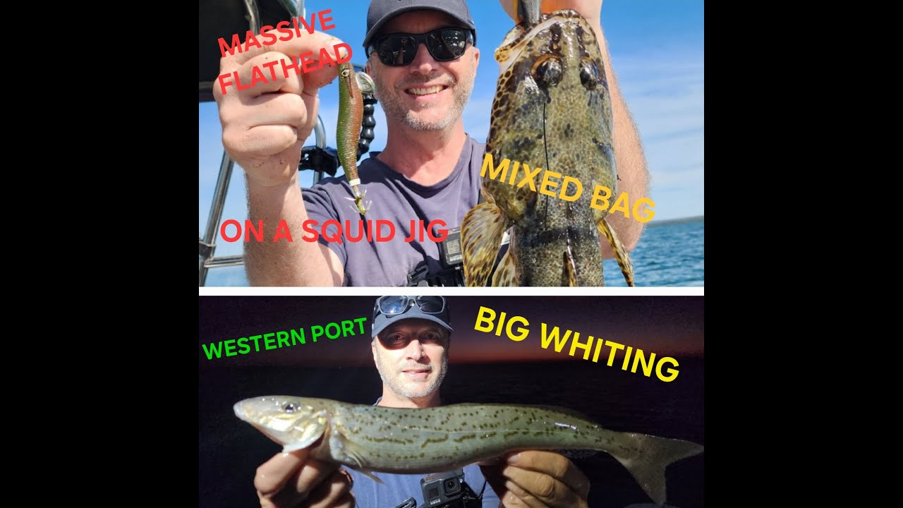 WHITING FISHING | WESTERN PORT | MIXED BAG | FLATHEAD ON A SQUID JIG