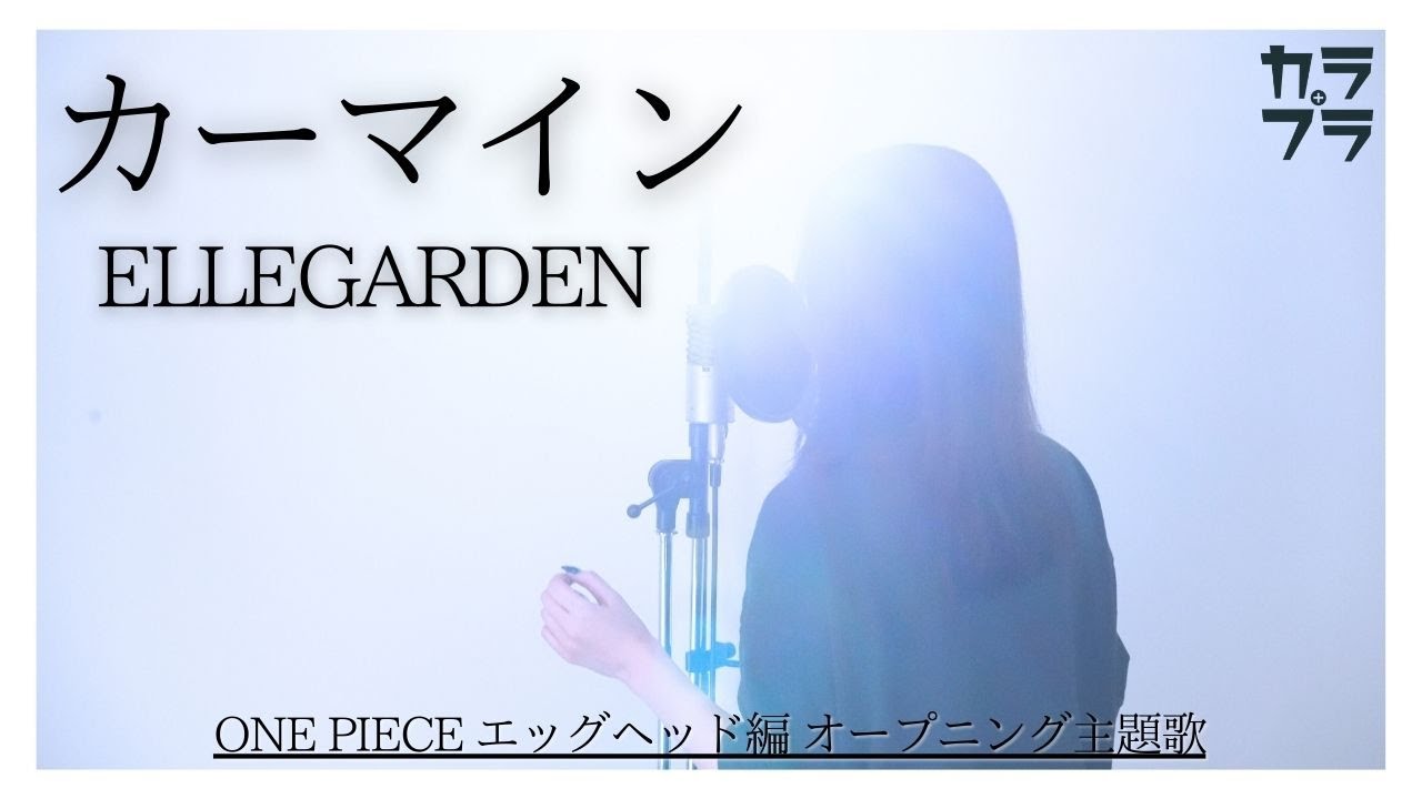 女性が歌う『 カーマイン / ELLEGARDEN【 ONE PIECE オープニング主題歌 】』covered by Yuu