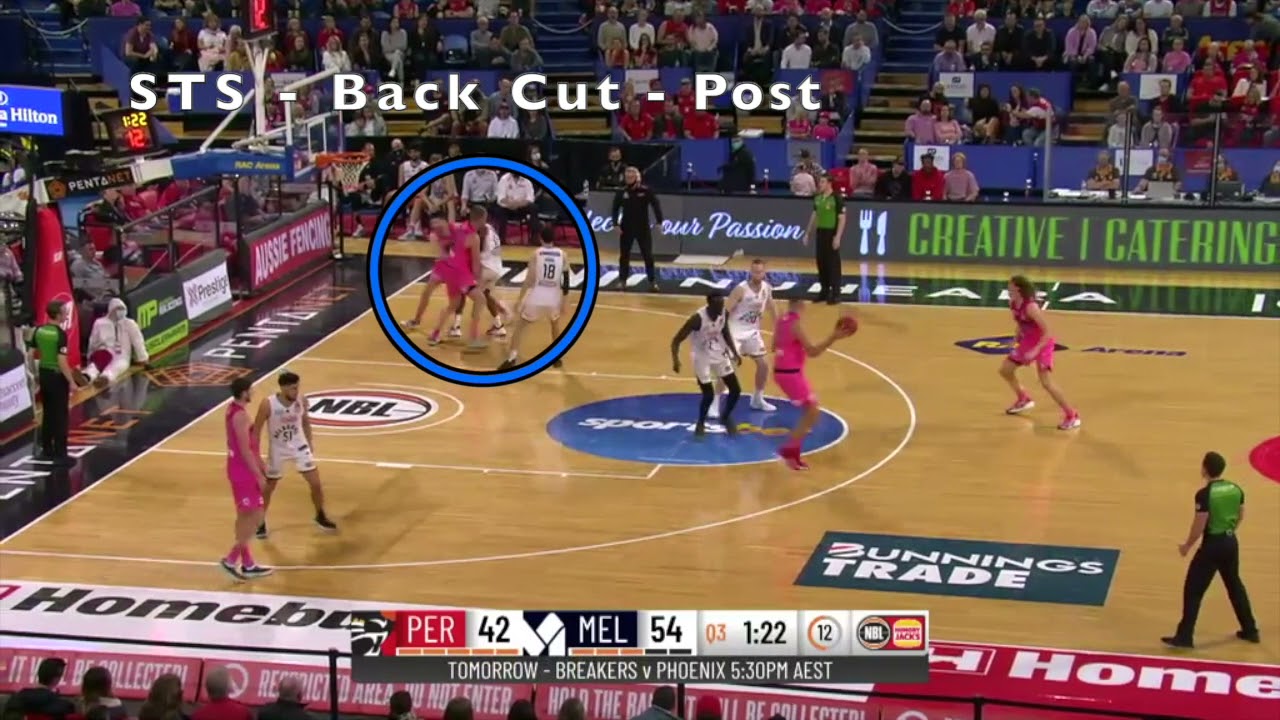 A Guide to The Flex Offense in Modern Basketball - Perth Wildcats (Trevor Gleeson) NBL