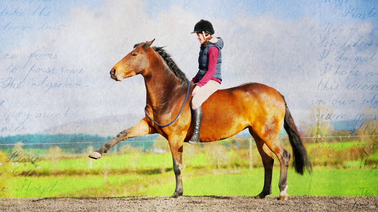 Callie - 6½ Years