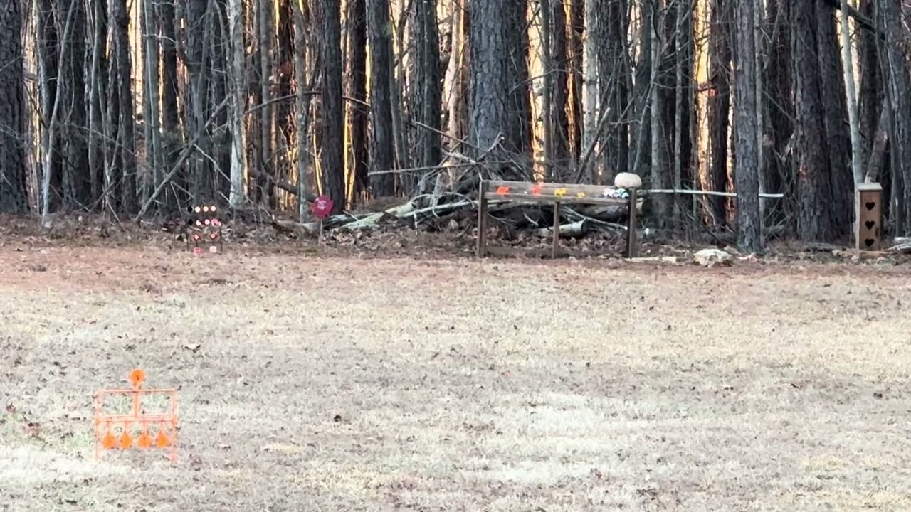 Doing a little plinking on @Thegoofyairgunner‘s range #plinking #airgunning 
