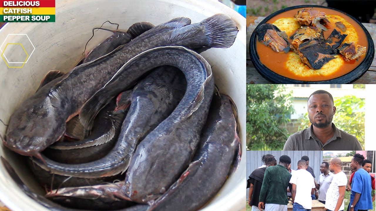 How To Prepare Delicious CATFISH Pepper Soup / Point & Kill  / Catfish lightsoup fufu