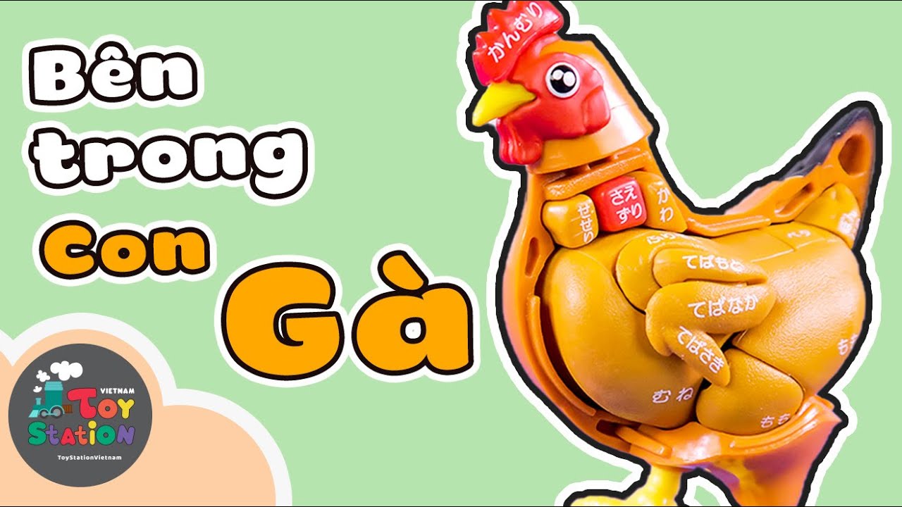 Bên trong con GÀ có những gì ToyStation 498