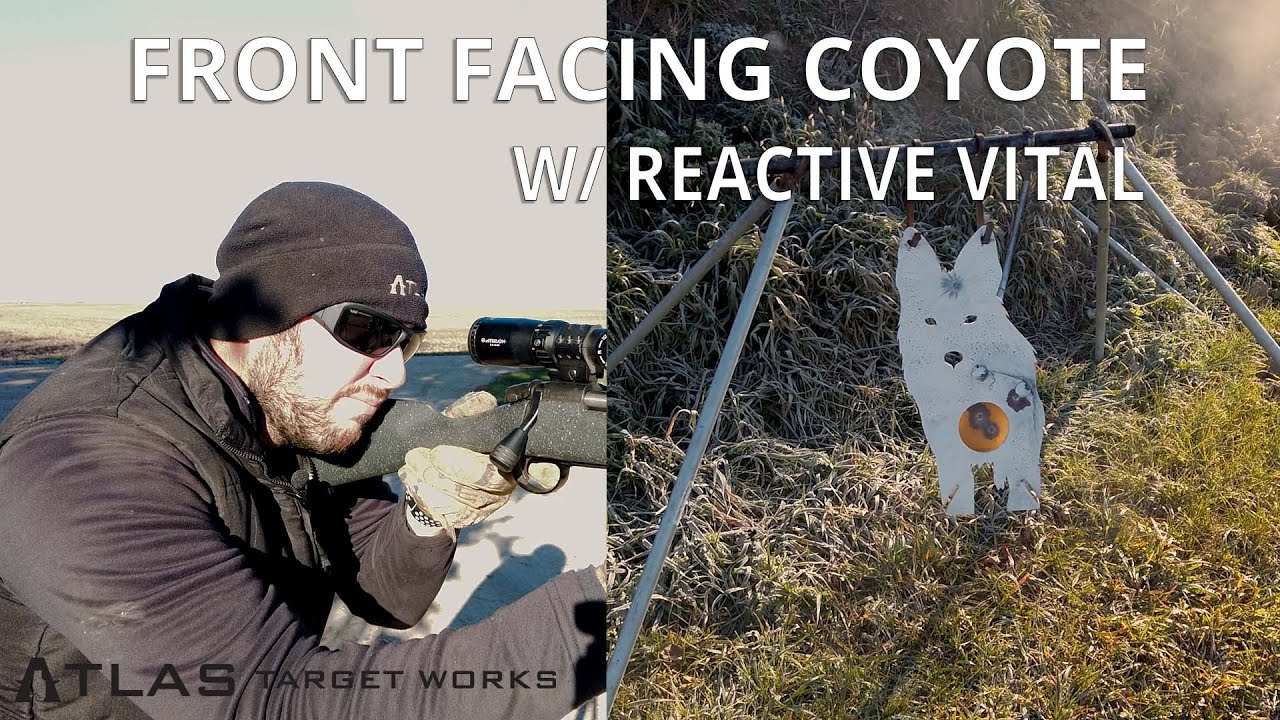 Front Facing Coyote with Reactive Vital Overview - Atlas Target Works