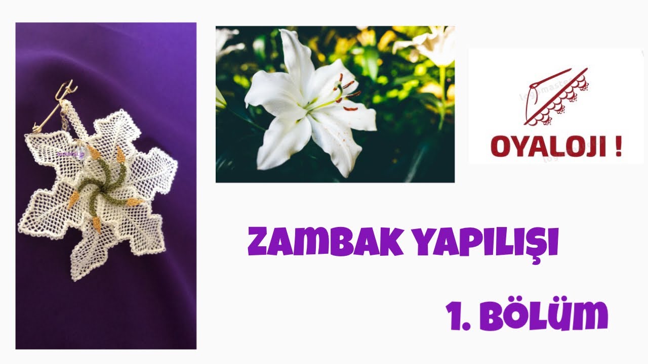 İğne oyası Zambak Çiçeği yapılışı 1. Bölüm (Çizimli anlatım)#lily#flower #pırpır #oyaloji #イーネオヤ　#ユリ