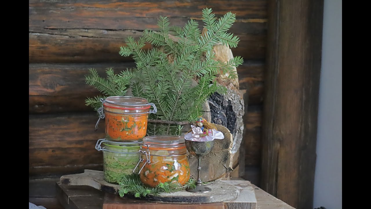 Jeunes pousse de sapin baumier fermentées : seuls ou accompagnés, travail sur les résineux