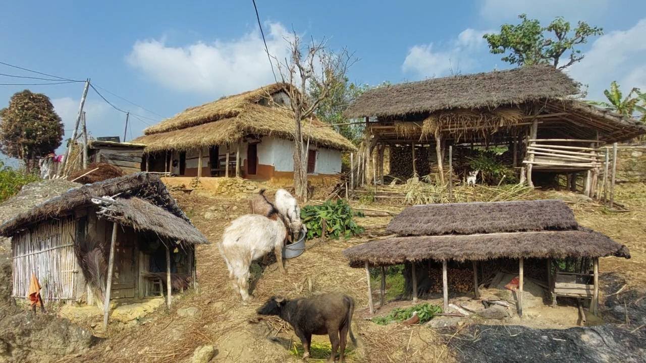 A Walk Through Beautiful Mountain Village- Relaxing and  Peaceful Natural Beauty
