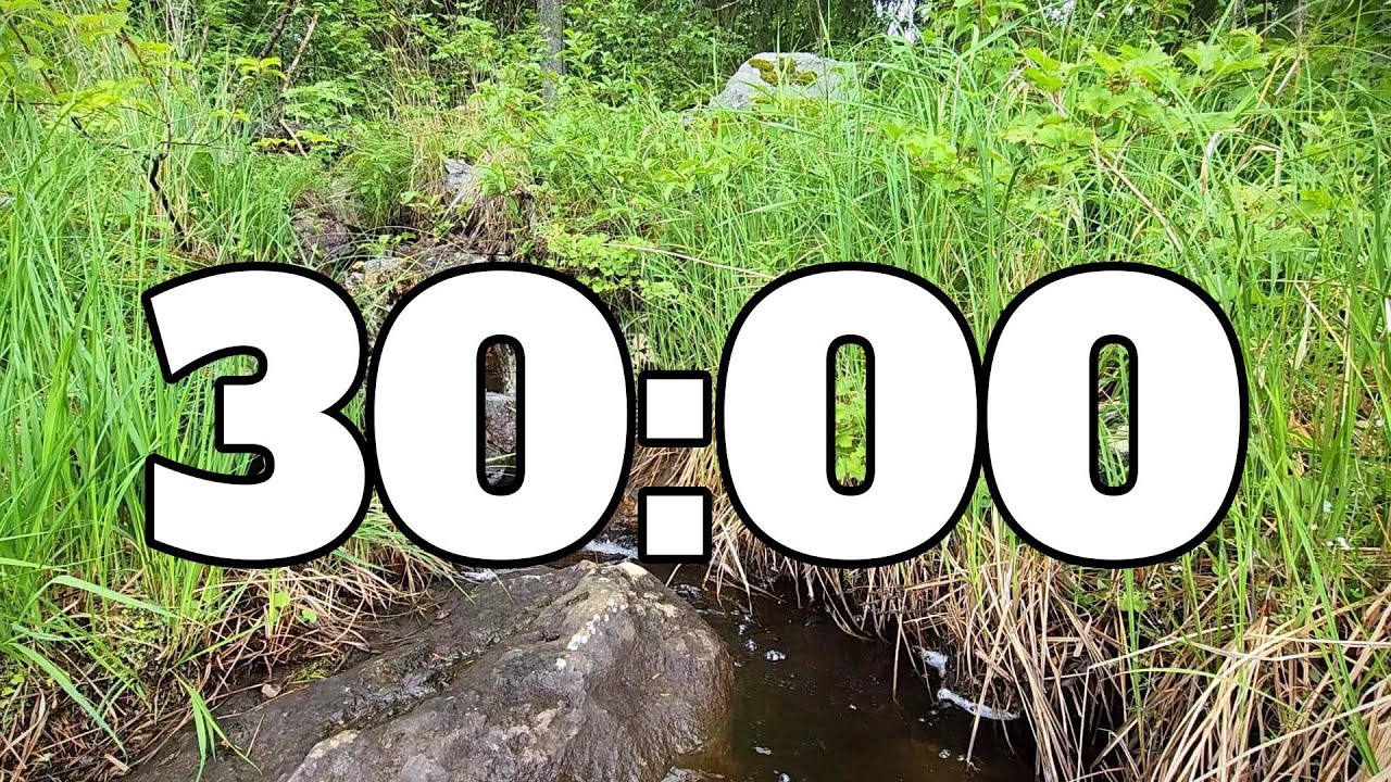 30 MINUTE TIMER NATURE WITH WATER SOUNDS.