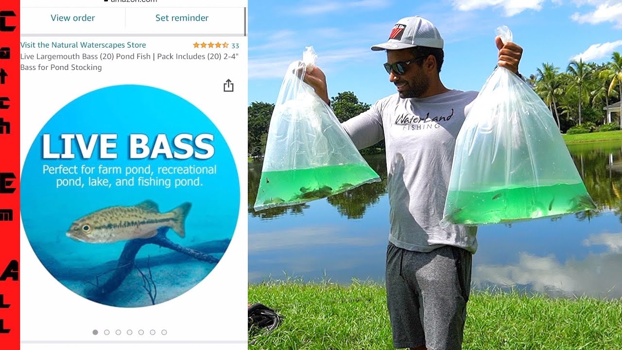 AMAZON is SELLING 1,000s of FISH!