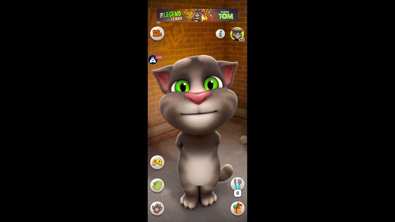 English Talking Tom Cat : 👍 Good stream | Playing Solo | Streaming with Turnip