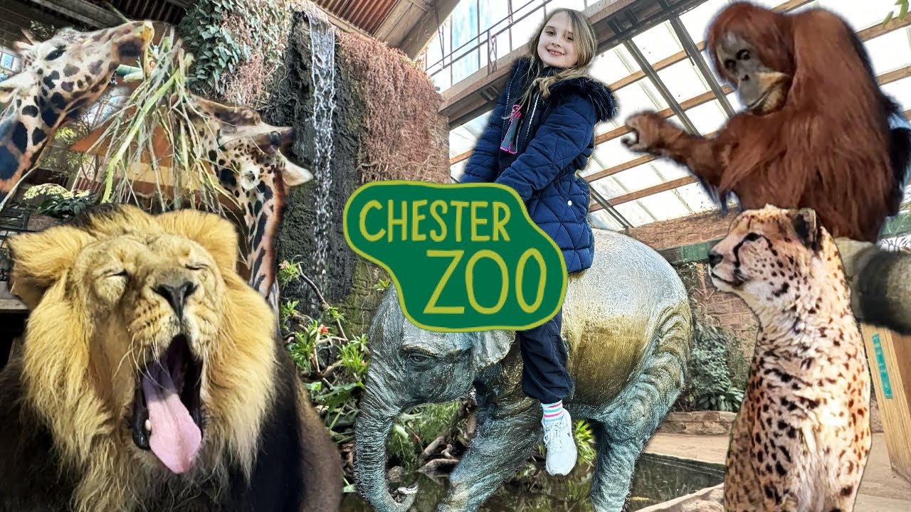 Chester Zoo Vlog | 24th February 2024