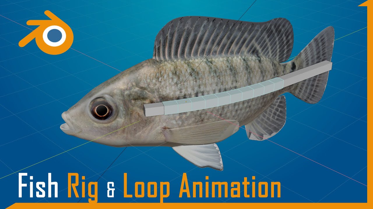 Blender Tut | Fish Rig and Animation Driver Expression