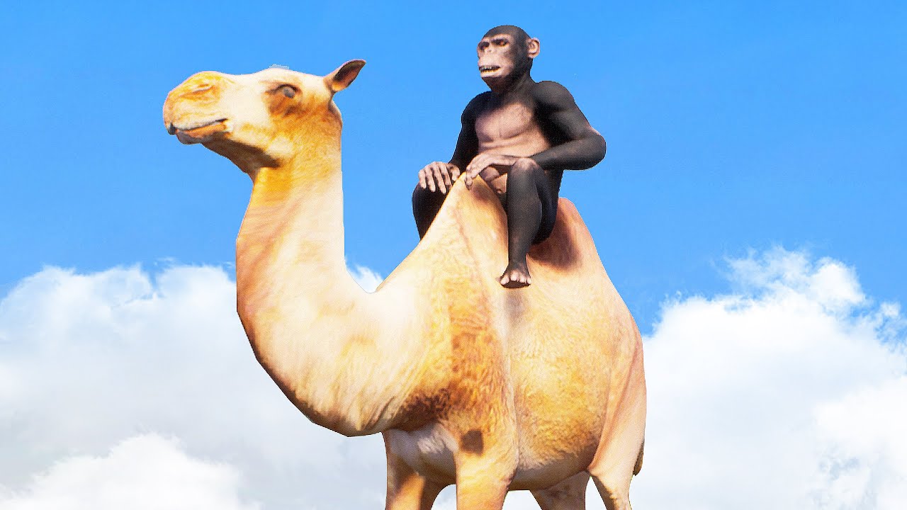 The best $5 I've ever spent