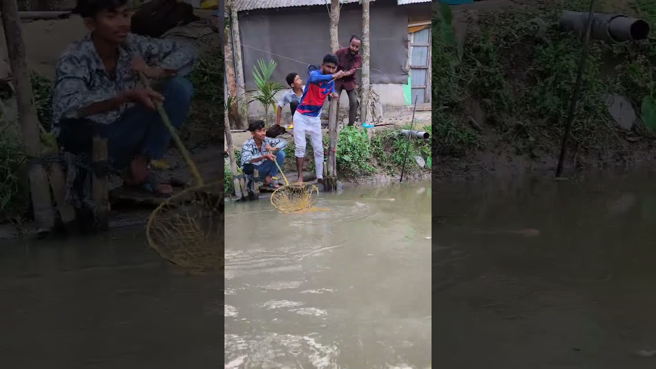 বিশাল বড় মাছ এটা। 