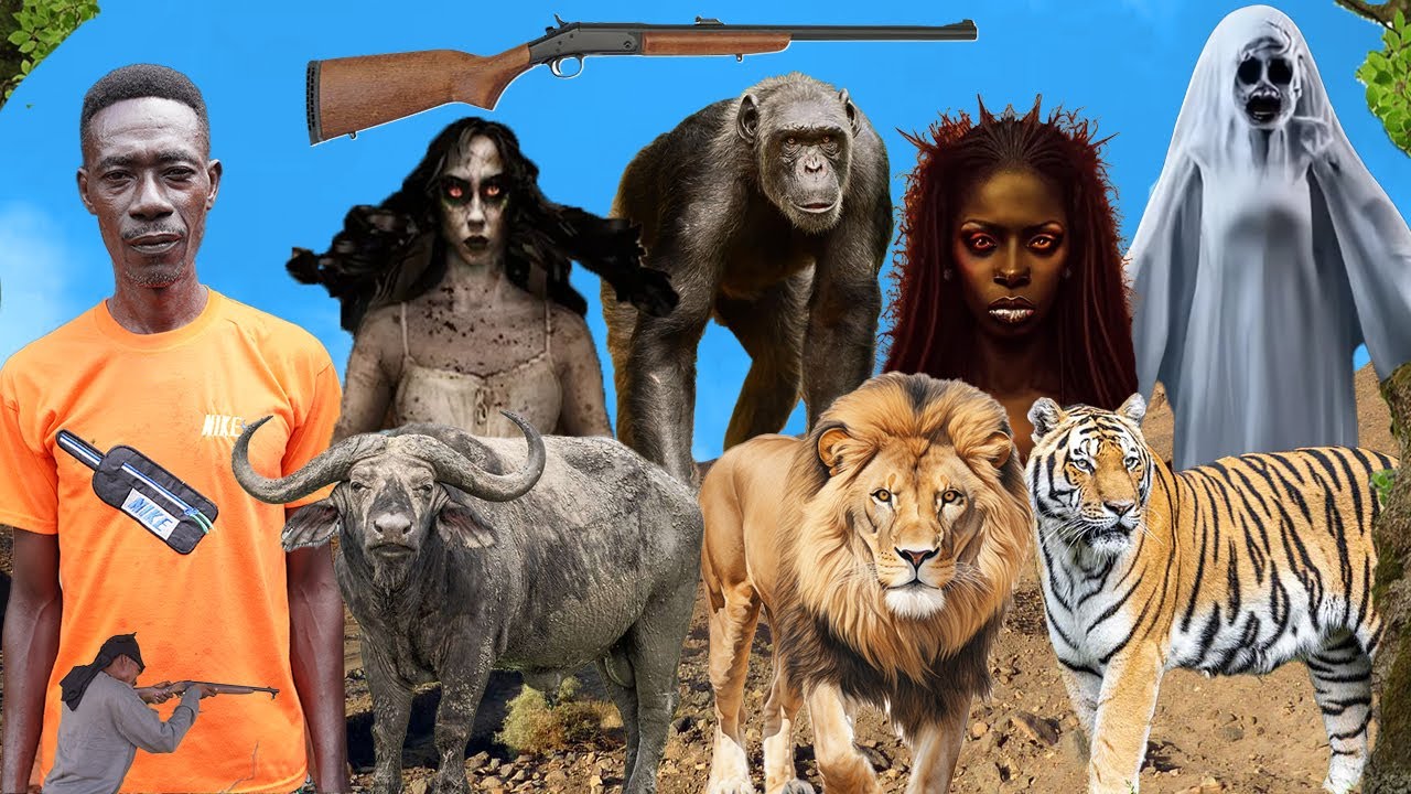 WONDERS 😳 Because of meat a woman turned into a Spiritual animal to attack me at night in the forest