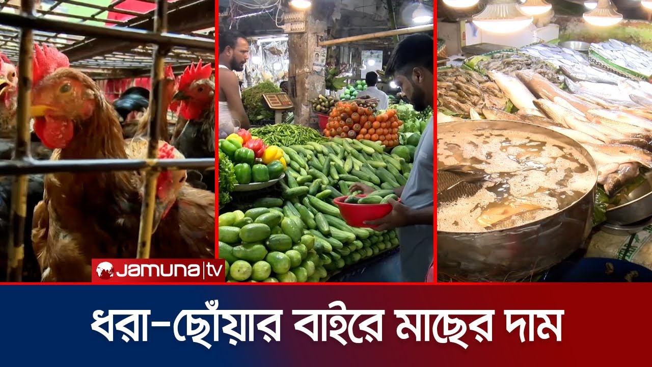 চট্টগ্রামে দাম বৃদ্ধি সবজি-মাছ-মুরগির; কারণ অজানা বিক্রেতাদের | Chattogram Bazar | Jamuna TV