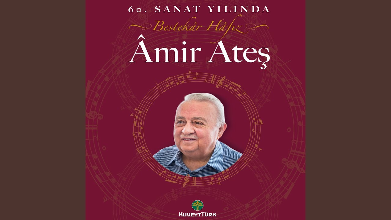 Ben Seni Unutmak İçin Sevmedim