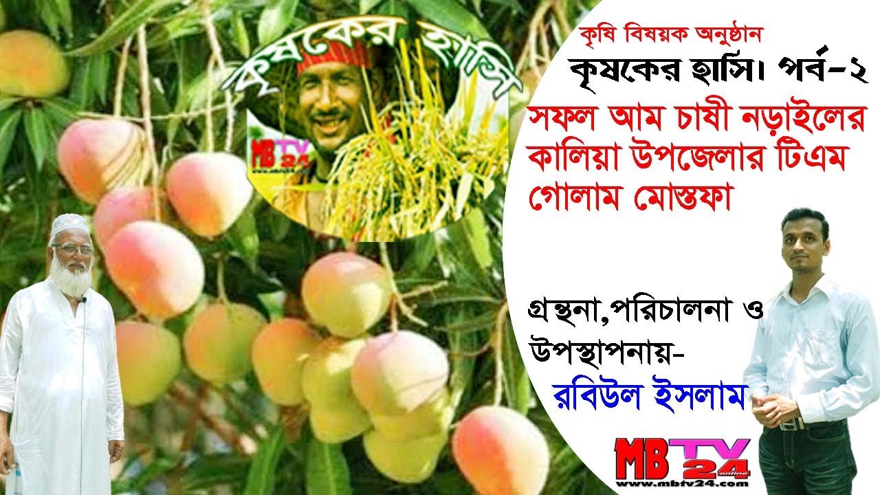 #কৃষকের_হাসি।আম চাষে সফল নড়াইলের টিএম গোলাম মোস্তফা।#mbtv24। Krishoker Hashi.EP#02.উন্নত জাতের_আমচাষ