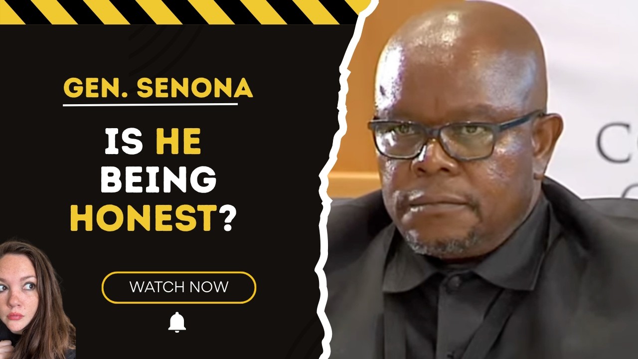 Red Flag by Red Flag: Gen Senona's Testimony Collapses Under Pressure At Madlanga