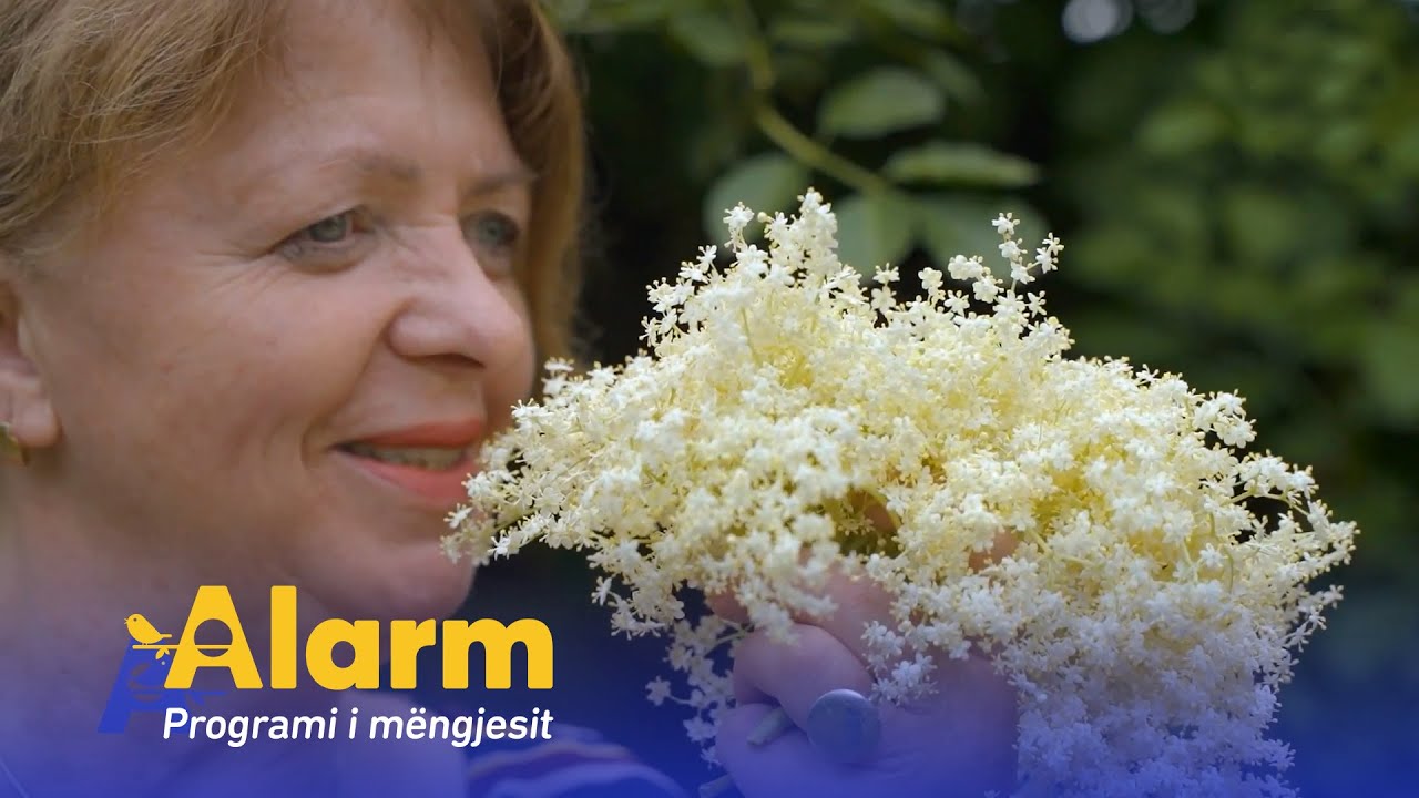 Përgatitja e lëngut të shtogut nga Kimetja