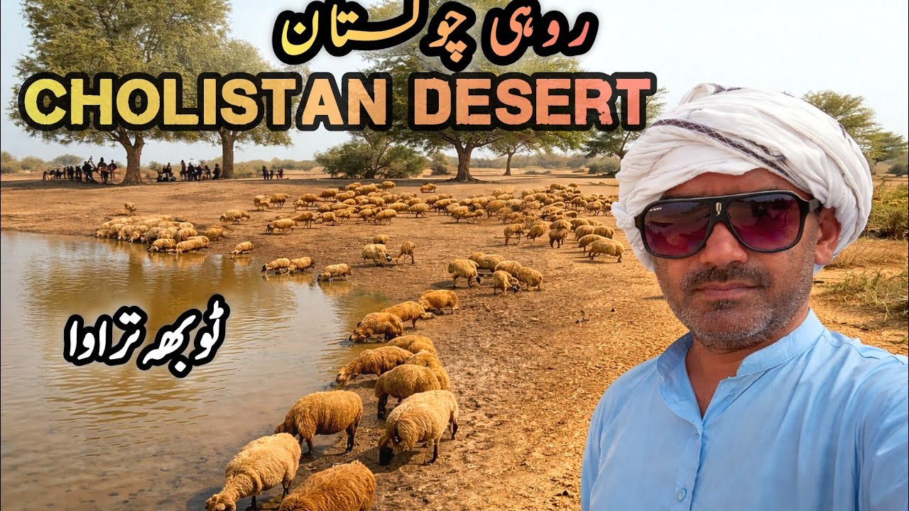 ROHI CHOLISTAN |TOBA TURAWA|DESERT CHOLISTAN 