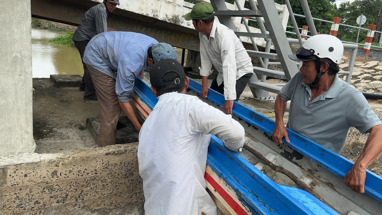 Săn Rắn Đêm Quá Nhiều Rắn Chụp Đã Cái Tay Mà Toàn Là Rắn To | Mười Thương Săn Bắt