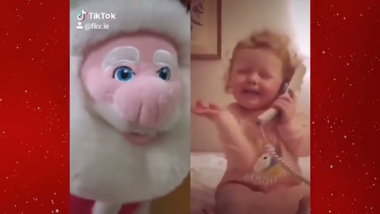 Elf on the Shelf Compilation