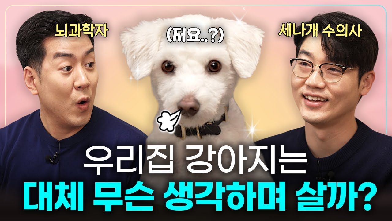 뇌과학자 X 수의사의 누구보다 진지한 강아지 뇌 분석 | 알쓸멍잡